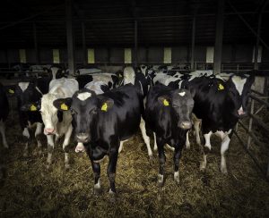 Strenc_Rebeka_03_Indulásra készen