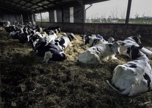 Strenc_Rebeka_04_Déli szieszta